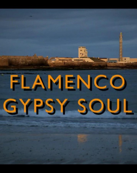 弗拉门戈：吉普赛之魂 Flamenco Gypsy Soul的海报