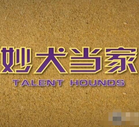 妙犬当家 Talent Hounds的海报