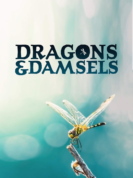 蜻蜓与豆娘的生存密码 Dragons & Damsels的海报