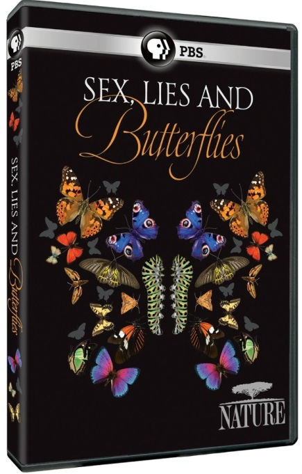 性感 谎言和蝴蝶 Sex Lies and Butterflies的海报