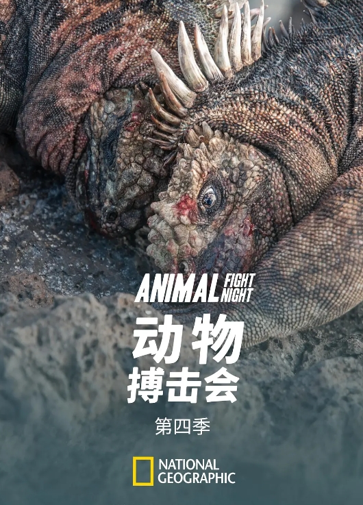 动物搏击会 第2-6季全35集 Animal Fight Night的海报