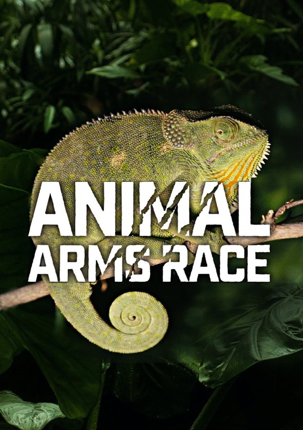 动物军备竞赛 Animal Arms Race的海报