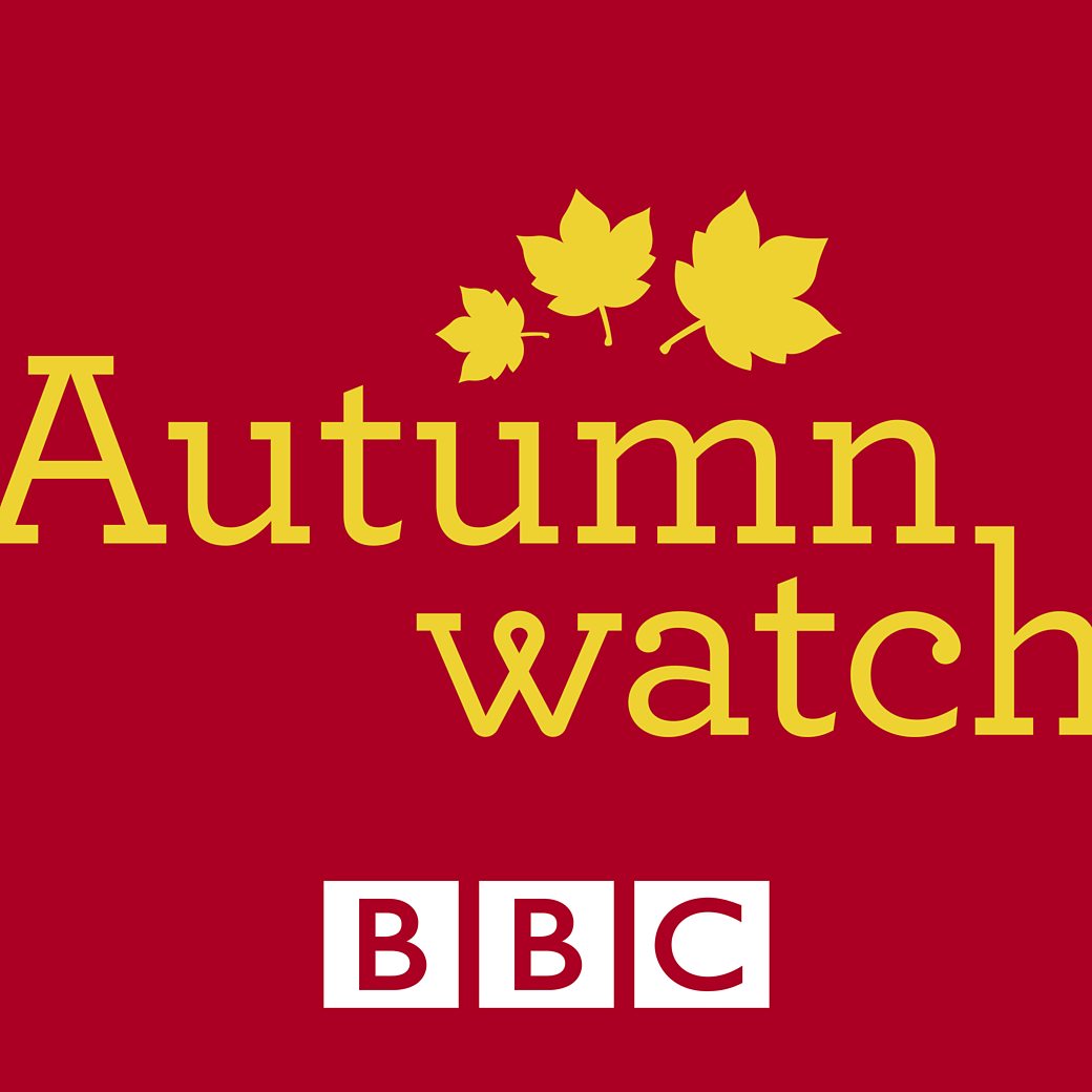 赏秋 Autumnwatch的海报