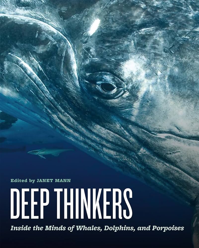 聪明的海豚 Dolphins-Deep Thinkers的海报