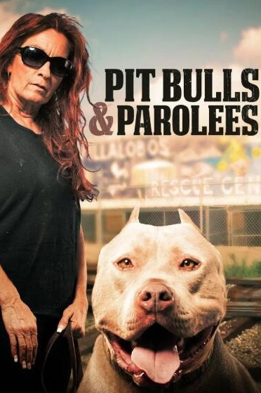 狗儿救援迎新生  第19季 Pit Bulls and Parolees的海报