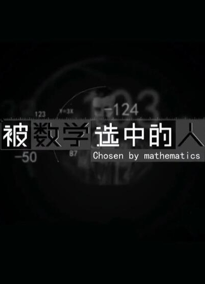 《被数学选中的人》的海报