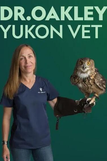动物侠医/育空兽医 第2季  Dr. Oakley, Yukon Vet的海报