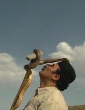 伊朗蛇王 The Snake Sultan的海报