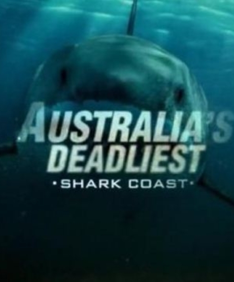致命的澳洲鲨鱼海岸 Australia's Deadliest Shark Coast的海报