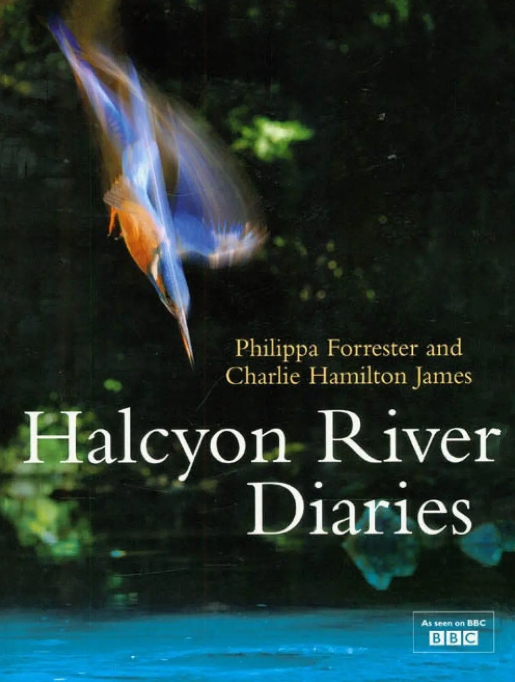 翠鸟河日记 Halcyon River Diaries的海报