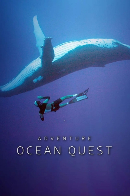 海洋冒险任务 Adventure Ocean Quest的海报