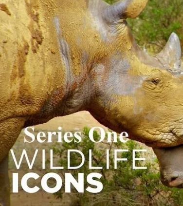 野性标志 Wildlife Icons 2015的海报
