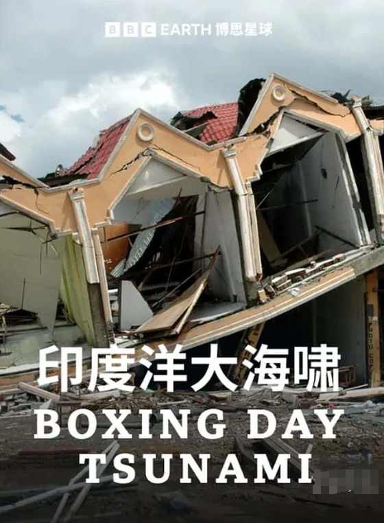节礼日海啸 Boxing Day Tsunami的海报