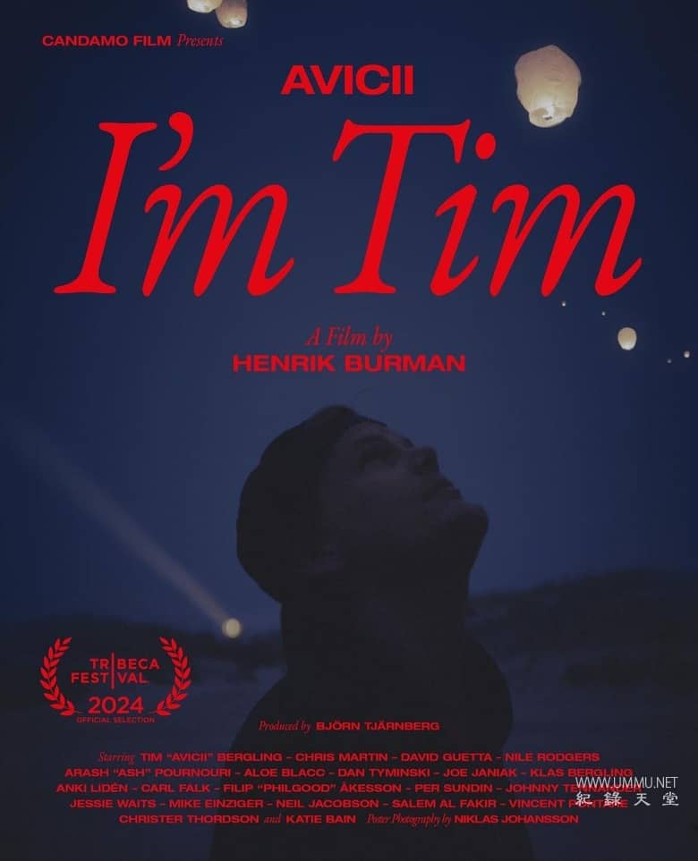 电音奇才艾维奇：蒂姆原色 Avicii - I'm Tim的海报