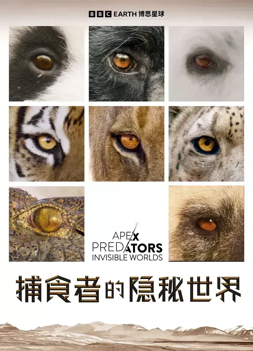 捕食者的隐秘世界 Apex Predators: Invisible Worlds的海报