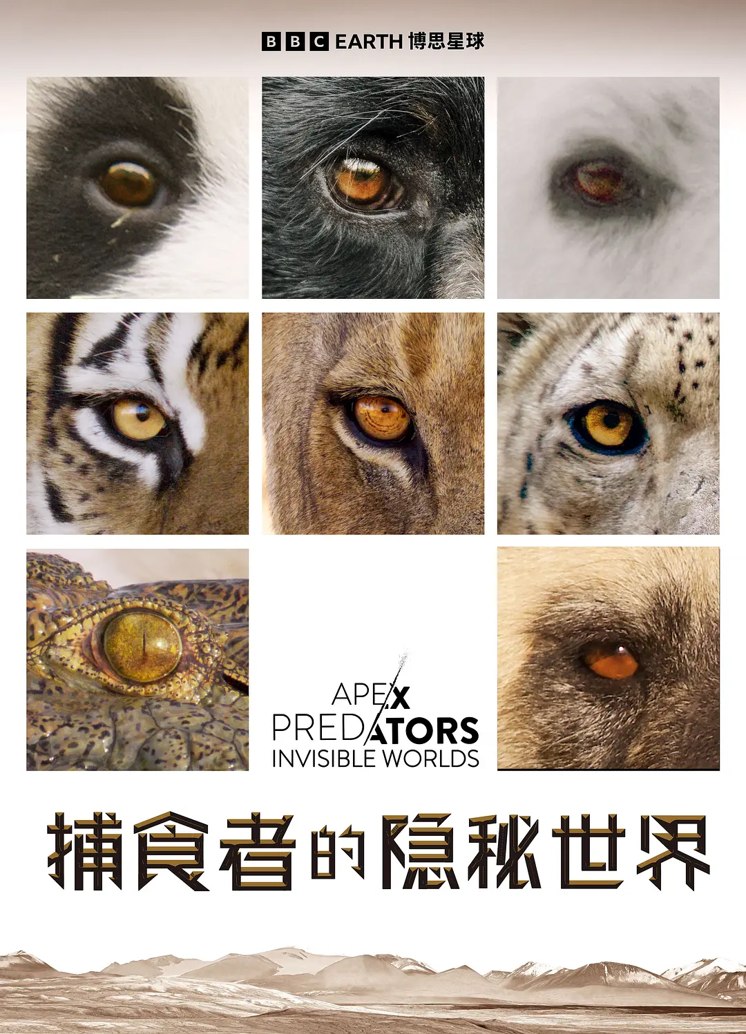捕食者的隐秘世界 Apex Predators: Invisible Worlds的海报