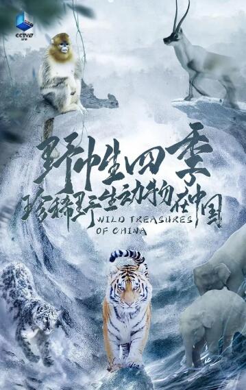 野性四季：珍稀野生动物在中国的海报