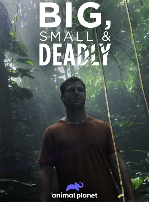 大的、小的和致命的 Big, Small & Deadly的海报