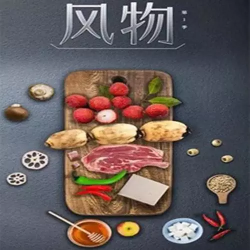 风物的海报