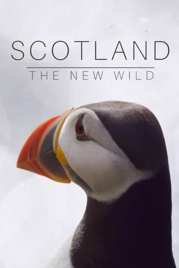 苏格兰：荒野新生 Scotland：The new Wild的海报