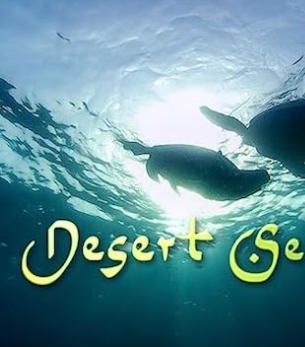 沙漠海洋 Desert Seas 2011的海报