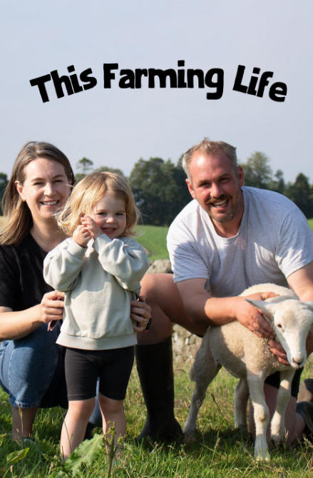 农耕生活 第二季 This Farming Life Season 2的海报