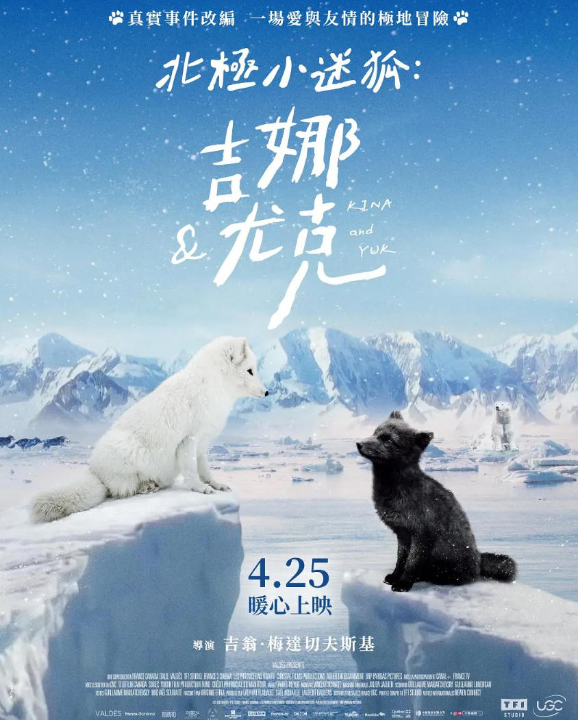 北极小迷狐吉娜&尤克 Kina & Yuk : renards de la banquise 2023的海报