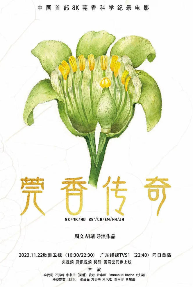 莞香传奇 2024的海报