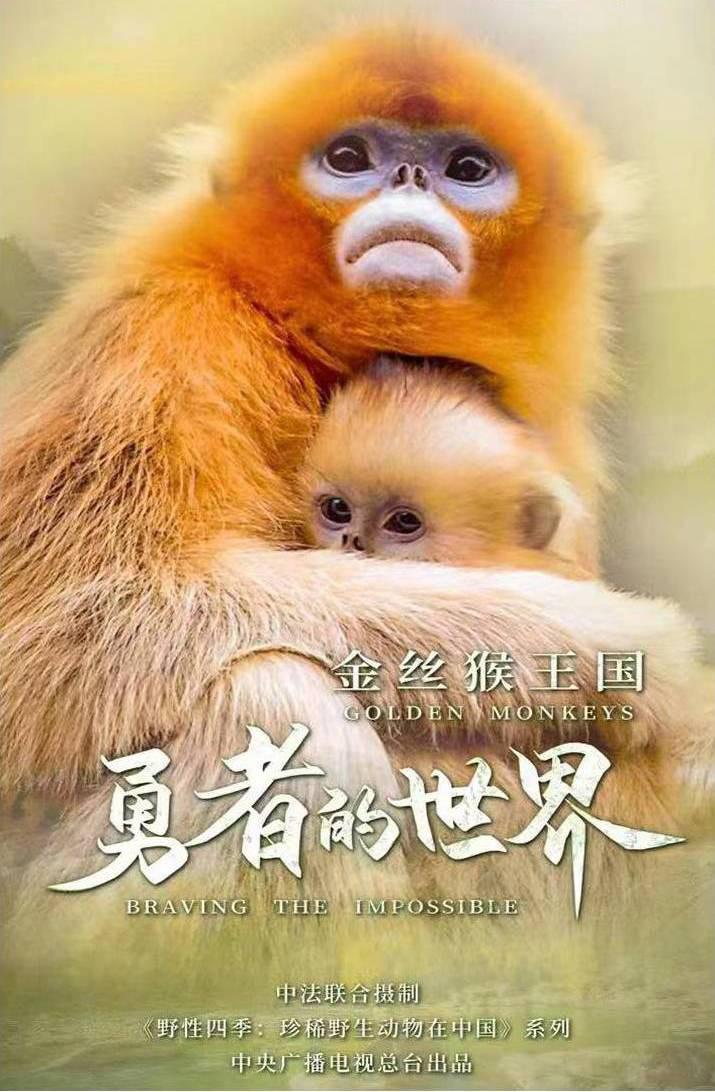 金丝猴王国：勇者的世界 2023的海报