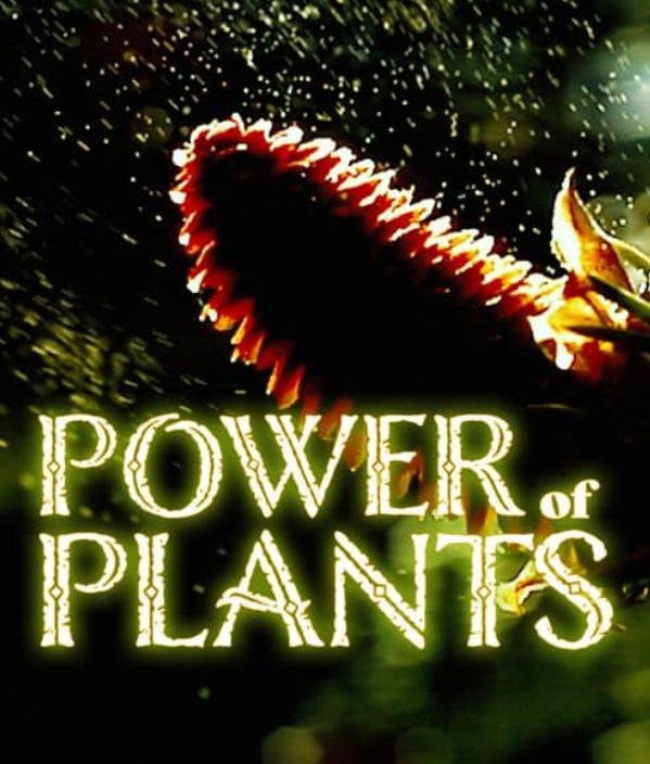 植物的力量 Power of Plants的海报