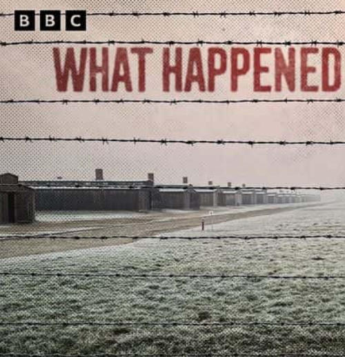 奥斯威辛集中营发生了什么 What Happened at Auschwitz的海报