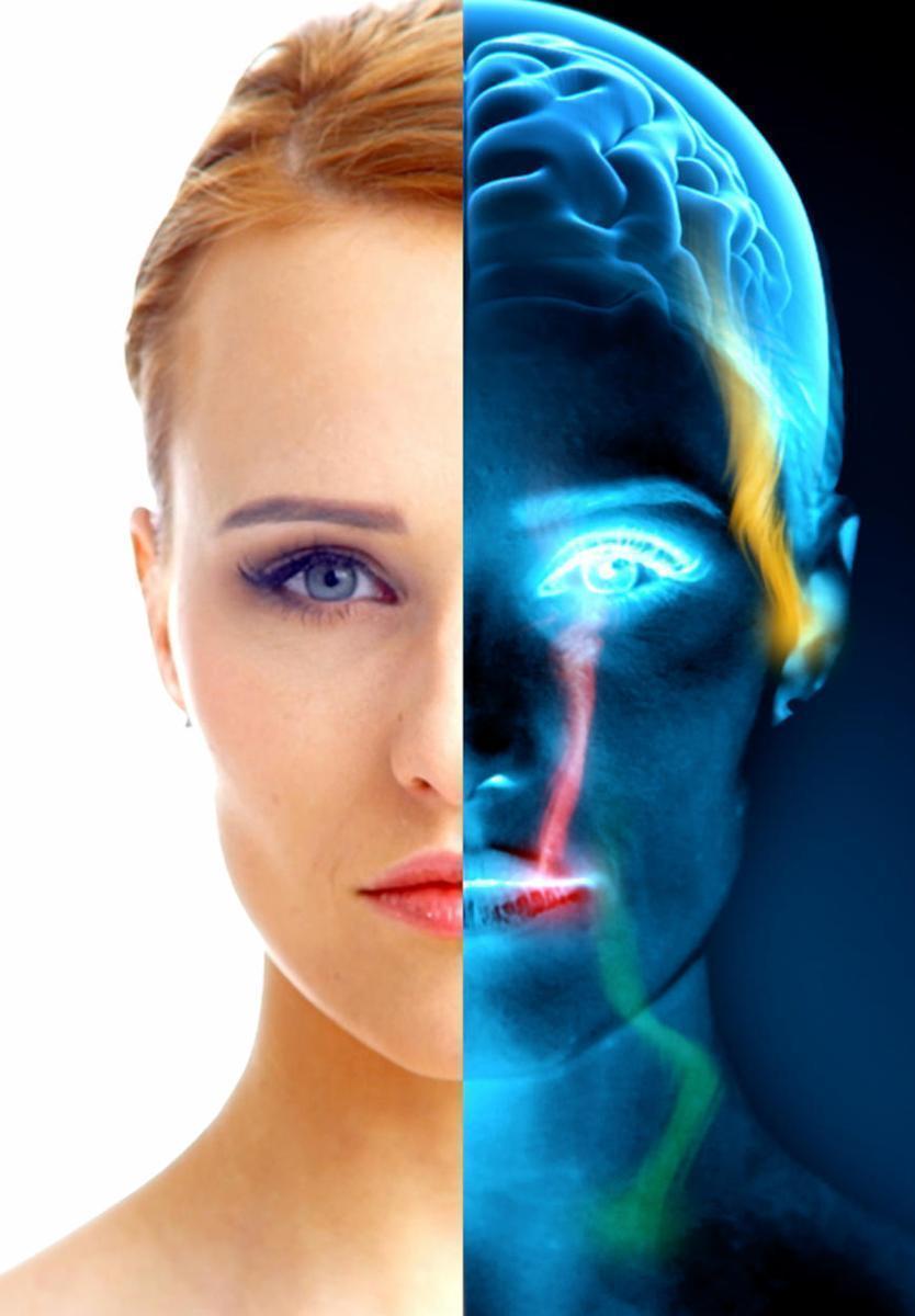 解密五感 Unveiling our 5 Senses的海报