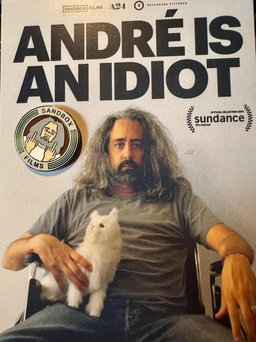 安德烈是个傻瓜 André Is an Idiot的海报