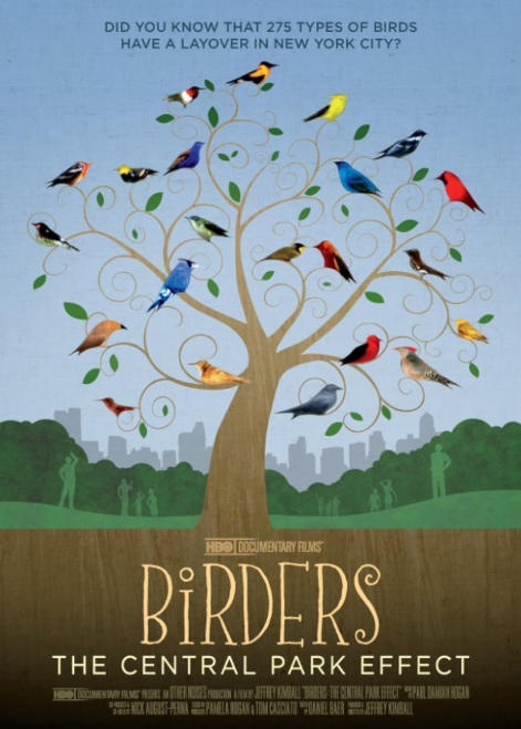 观鸟者：中央公园效应 Birders: The Central Park Effect的海报