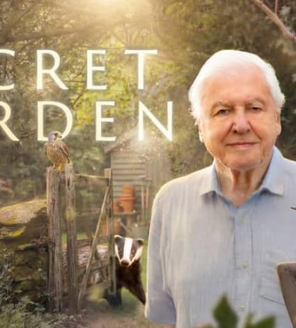 秘密花园 Secret Garden的海报
