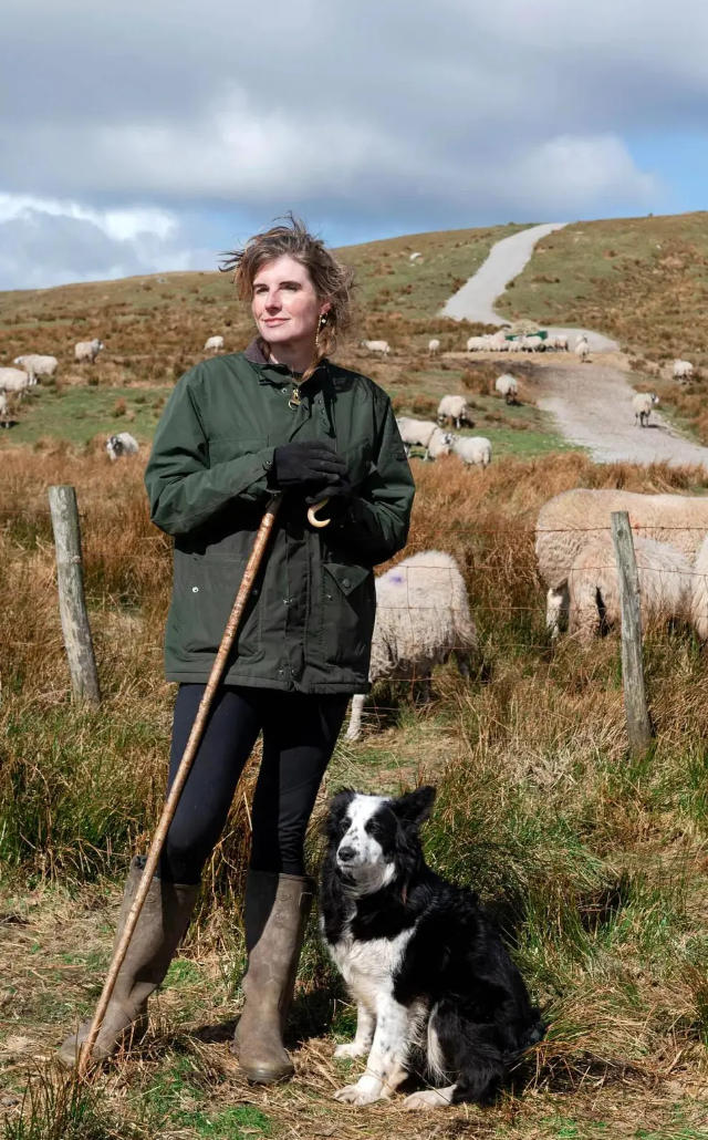 我们约克郡的农场 Our Yorkshire Farm的海报