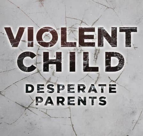 暴力儿童与绝望父母 Violent Child Desperate Parents的海报