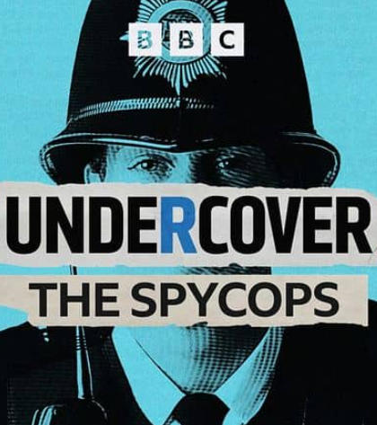 卧底警局 Undercover in the Police的海报