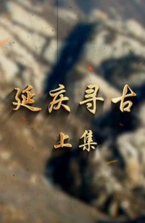 延庆寻古 2024的海报