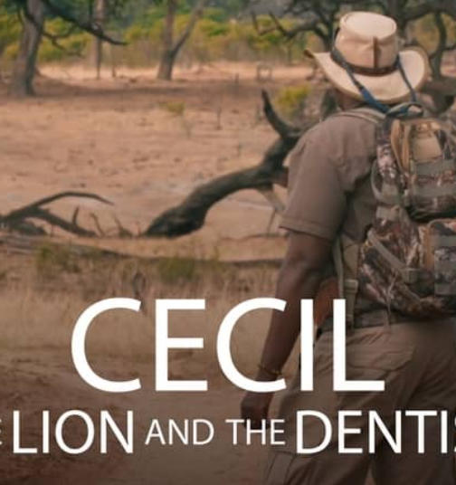 塞西尔：狮子与牙医 Cecil: The Lion and the Dentist的海报