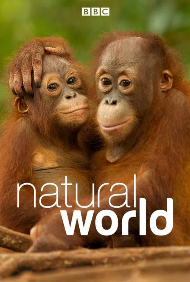 自然世界 第1-7季全42集 Natural World的海报