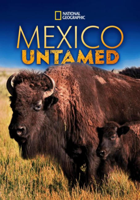 狂野墨西哥 Mexico Untamed 2018的海报