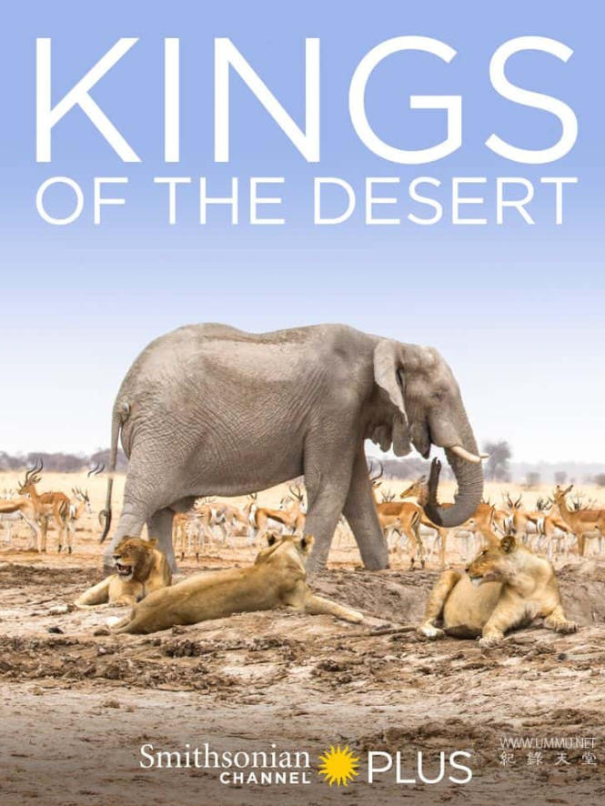 沙漠之王 Kings of the Desert的海报