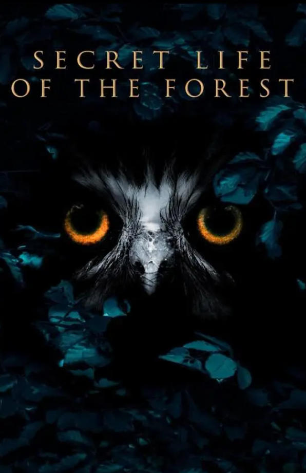 林中的四季奇观 Inside the Forest: Seasons of Wonder/Secret Life of the Forest 2021的海报