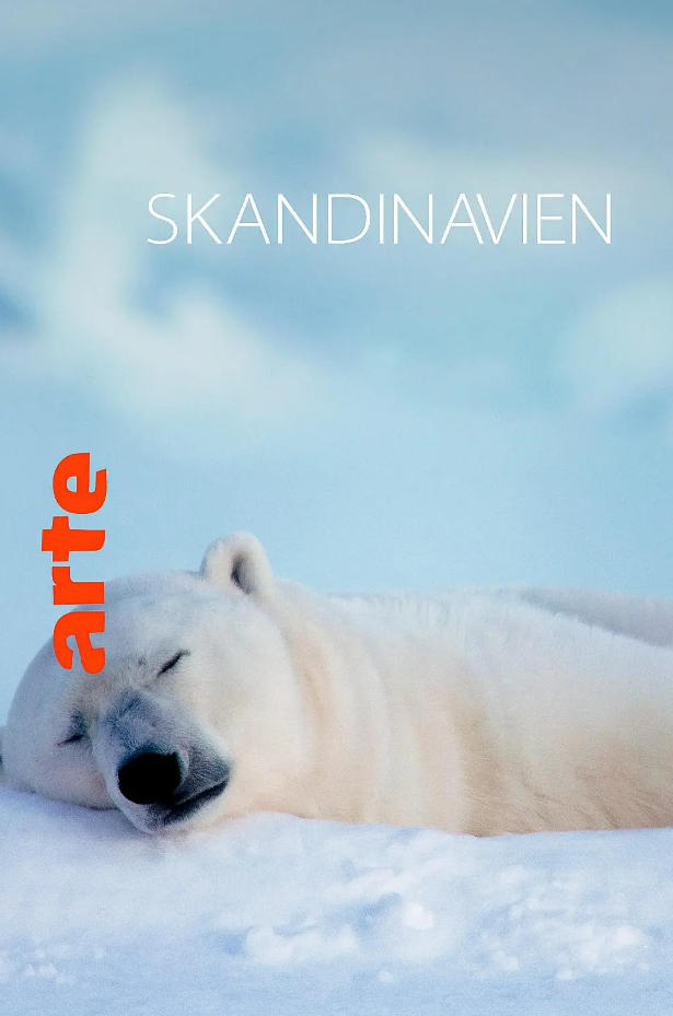 极夜半岛 Scandinavia - Between Light and Darkness 2024的海报