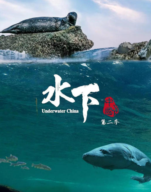水下中国 第2季 全6集 Underwater China 2023的海报