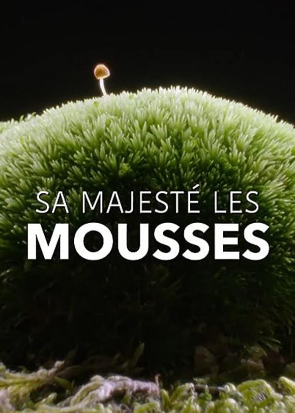 奇妙的苔藓世界 Sa Majesté les mousses/The Magical World of Moss 2023的海报