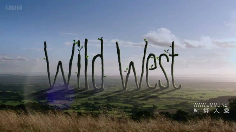 休斯的狂野西部 第一季全12集 Hugh's Wild West的海报