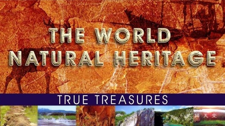 世界自然遗产 The World Natural Heritage的海报