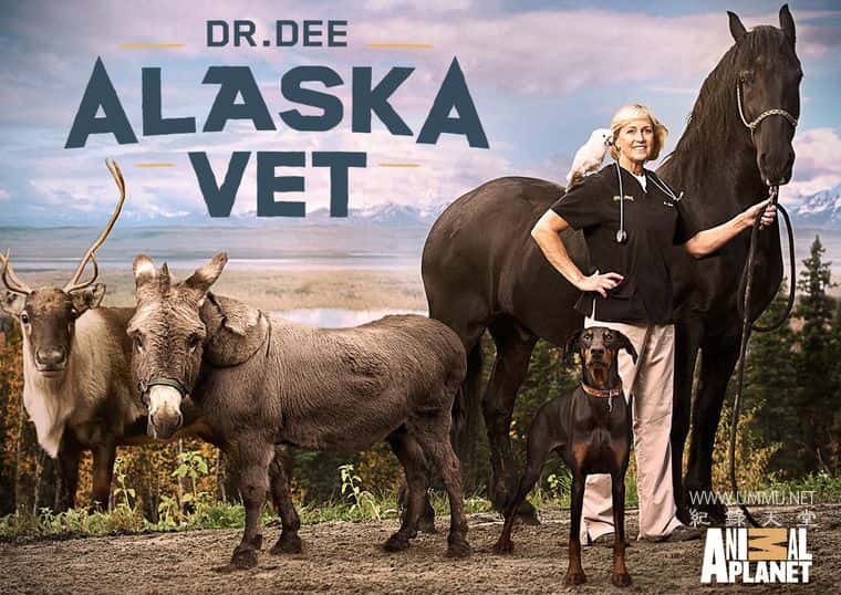 Dee博士：阿拉斯加兽医 第1-2季全18集 Dr. Dee: Alaska Vet的海报
